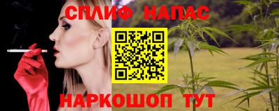 крисы Обь
