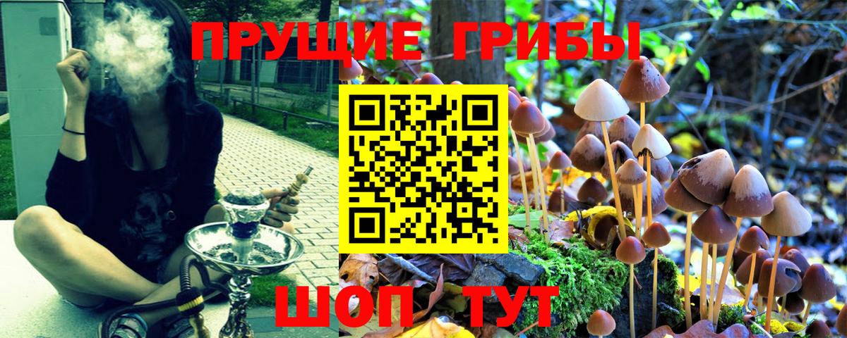 Сердобск  Псилоцибиновые грибы мухоморы  Вход с VPN 